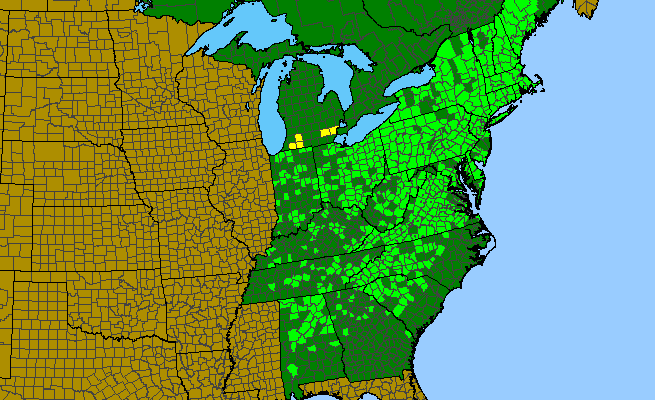The range of Smilax herbacea